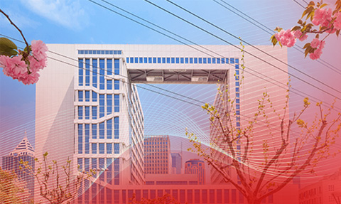 校园动态日语国际高中-喜报 | 22级毕业生再传捷报，叩响未来之门！